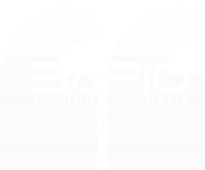 Professor Parag Singhal